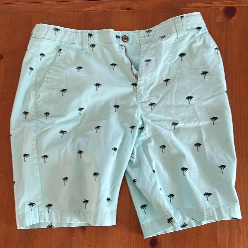 Hudson and Barrow NYC shorts. Teal Green with Dark Green palm trees. Light use.